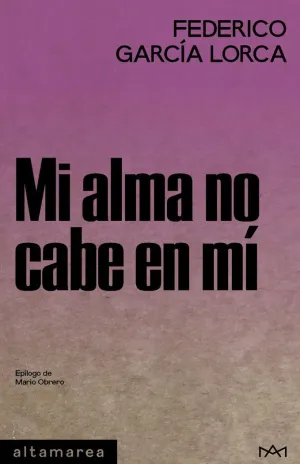 Mi Alma no Cabe en mi